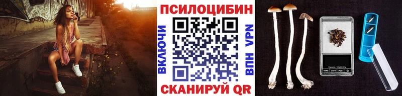 Псилоцибиновые грибы Cubensis Северобайкальск